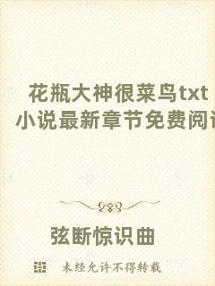 花瓶大神很菜鳥txt小說最新章節(jié)免費閱讀
