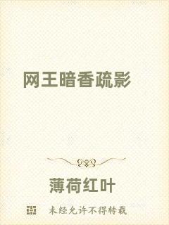 網(wǎng)王暗香疏影