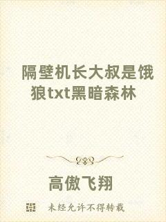 隔壁機長大叔是餓狼txt黑暗森林