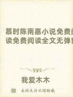 慕時陳南嘉小說免費閱讀免費閱讀全文無彈窗