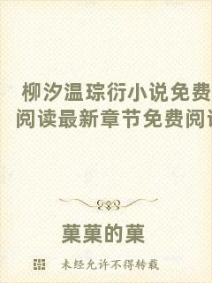 柳汐溫琮衍小說免費閱讀最新章節(jié)免費閱讀