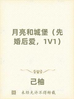 月亮和城堡（先婚后愛(ài)，1V1）