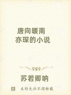 唐向暖南亦琛的小說